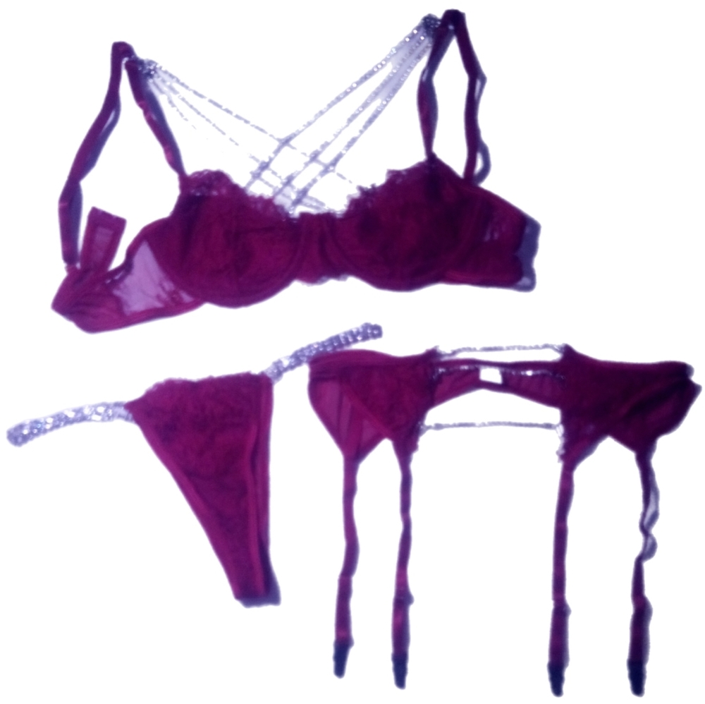 Women's Sexy Exotic Lace & Rhinestone 3pc Lingerie Set